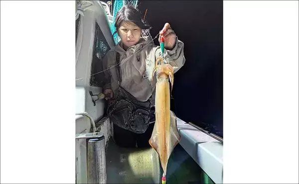 「夜焚きイカのシーズン開幕！ 良型交え釣る人80尾【夜焚きイカ釣果速報6選・福岡】」の画像