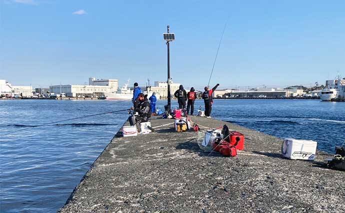 城ヶ島の沖堤防でウキダンゴ釣り 50cm級クロダイにマダイ好捕 22年4月4日 エキサイトニュース