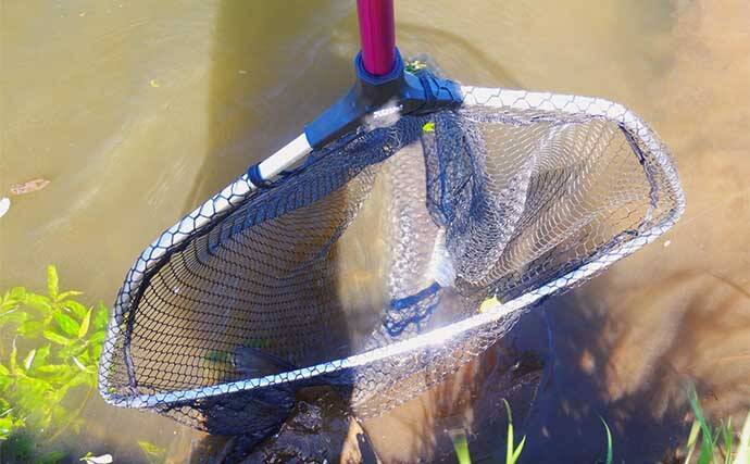 埼玉・元荒川でのウキ釣りで116cmソウギョをキャッチ　爆風コンディションに苦戦