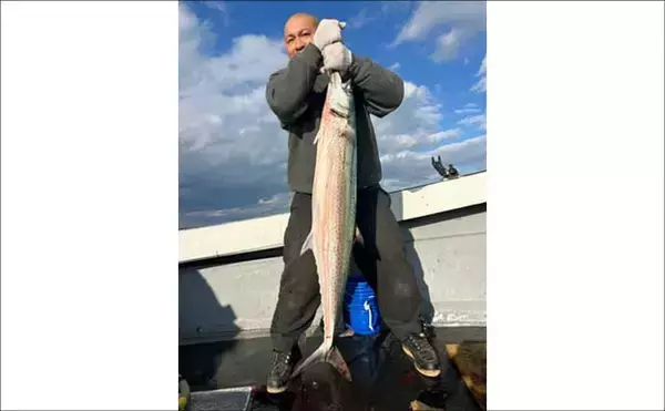 「【沖のルアー釣果速報】玄界灘ジギングで11kgの特大ヒラマサ浮上！（福岡）」の画像