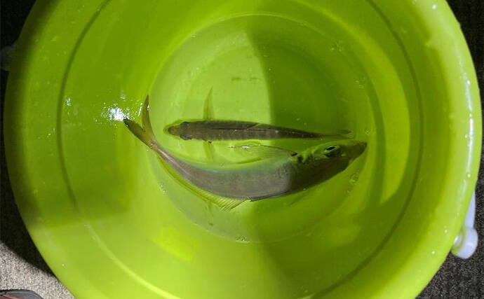 「釣り大会の優勝をじゃんけんで決める？」 34アジングカップ全国大会に参戦