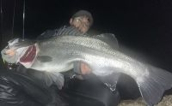 「想定外の大型魚がヒット！」 夜磯メバリング釣行で良型ヒラスズキを手中【福岡】