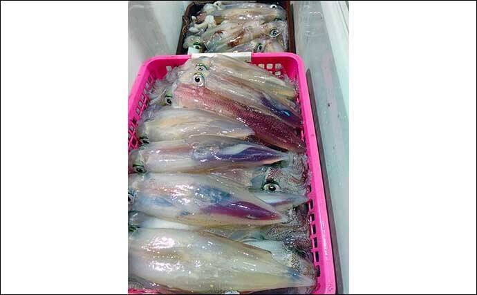 石川 福井 イカメタル船の最新釣果 パラソル級頭にマイカ好ヒット 22年7月17日 エキサイトニュース