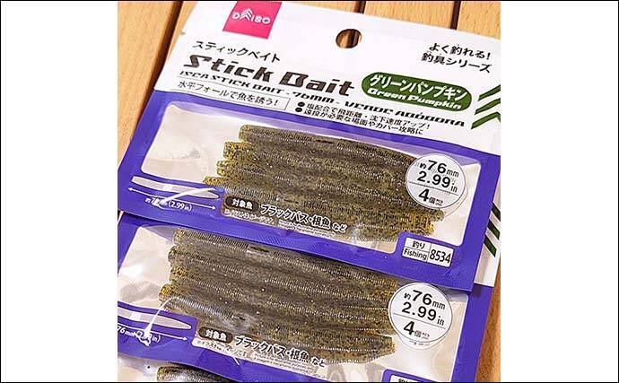 100円均一ショップ『ダイソー』の【ブラックバス釣りにオススメのワーム5選】