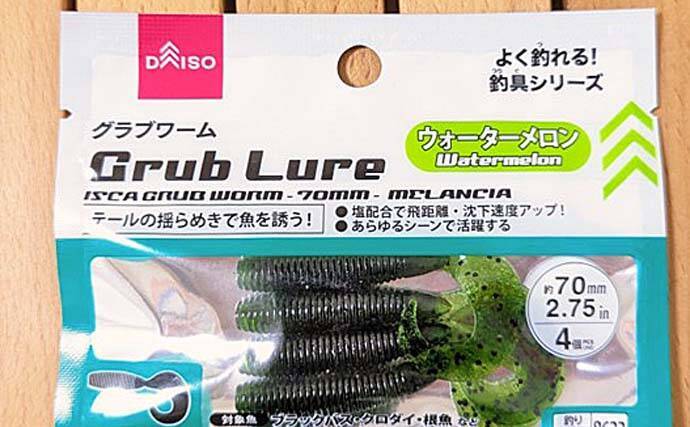 100円均一ショップ『ダイソー』の【ブラックバス釣りにオススメのワーム5選】