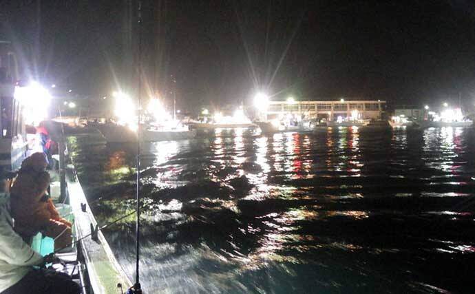 大原沖ショウサイフグ釣りで爆釣【千葉・孝栄丸】カットウ仕掛けで入れ食い
