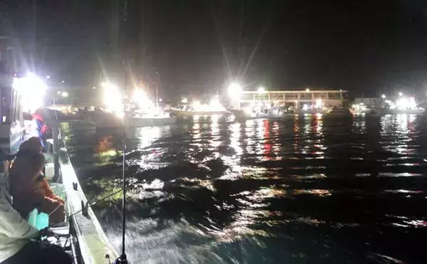 「大原沖ショウサイフグ釣りで爆釣【千葉・孝栄丸】カットウ仕掛けで入れ食い」の画像