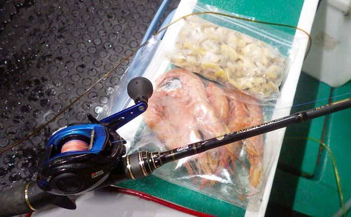 大原沖ショウサイフグ釣りで爆釣【千葉・孝栄丸】カットウ仕掛けで入れ食い