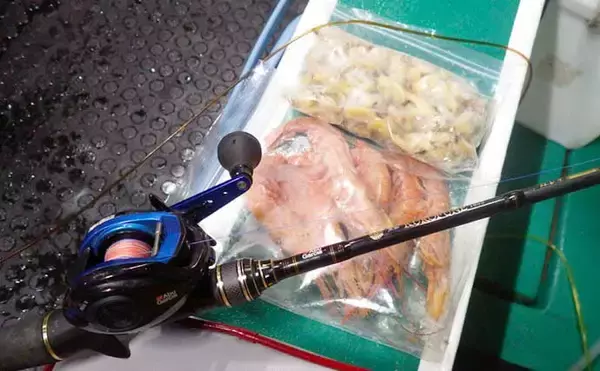 「大原沖ショウサイフグ釣りで爆釣【千葉・孝栄丸】カットウ仕掛けで入れ食い」の画像