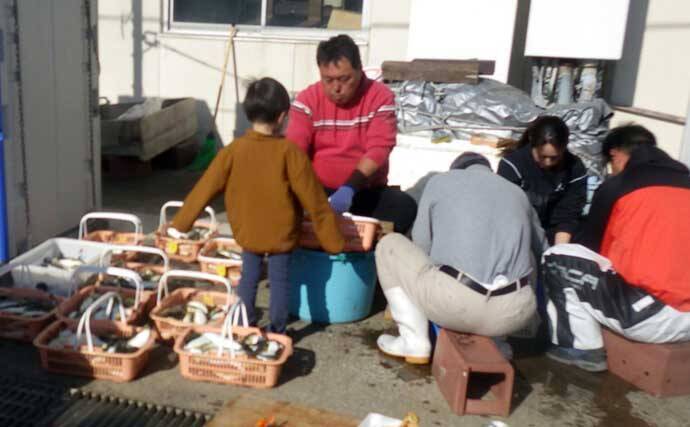 大原沖ショウサイフグ釣りで爆釣【千葉・孝栄丸】カットウ仕掛けで入れ食い
