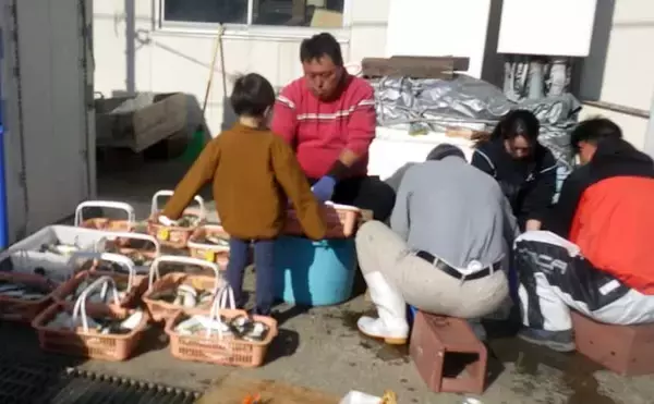 「大原沖ショウサイフグ釣りで爆釣【千葉・孝栄丸】カットウ仕掛けで入れ食い」の画像