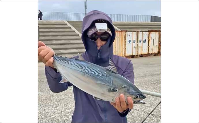 「秋の離島は釣り天国！」伊豆大島のフカセ釣りで55cm良型スマガツオを手中【東京】