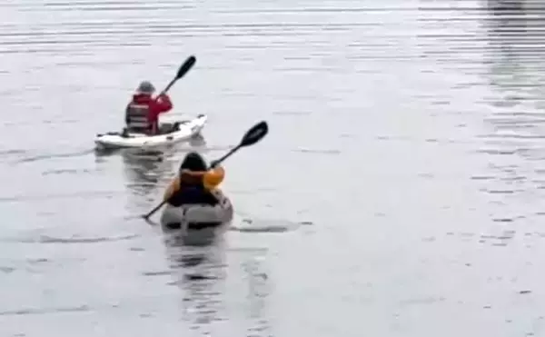 「「カヤックフィッシング初体験に年齢は関係なし！」タイラバでオオモンハタを手中」の画像