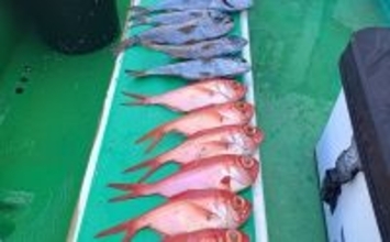 相模湾の深場釣りでキンメにクロムツが続々！【秀吉丸】当たりだった誘いはどれ？