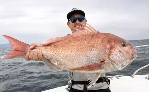 「富山湾でアカムツ（ノドグロ）が絶好調！船中34匹【北陸の船釣釣果速報8選】」の画像