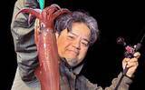 「夜焚きイカメタルで釣った活きイカを泳がせてアラ（クエ）を狙う！【山口】」の画像1