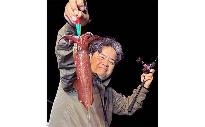 夜焚きイカメタルで釣った活きイカを泳がせてアラ（クエ）を狙う！【山口】
