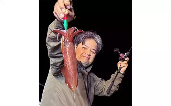 「夜焚きイカメタルで釣った活きイカを泳がせてアラ（クエ）を狙う！【山口】」の画像