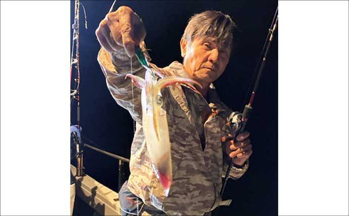 夜焚きイカメタルで釣った活きイカを泳がせてアラ（クエ）を狙う！【山口】