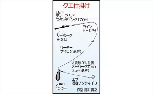 「夜焚きイカメタルで釣った活きイカを泳がせてアラ（クエ）を狙う！【山口】」の画像