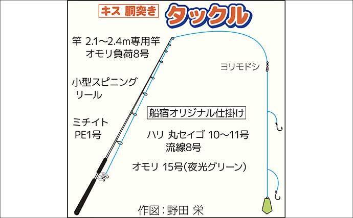 東京湾の船シロギス釣りで20cm超え極太サイズが続々【進丸】大型狙いのチャンス！