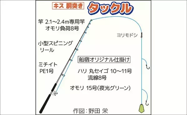 「東京湾の船シロギス釣りで20cm超え極太サイズが続々【進丸】大型狙いのチャンス！」の画像
