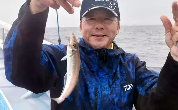「東京湾の船シロギス釣りで20cm超え極太サイズが続々【進丸】大型狙いのチャンス！」の画像