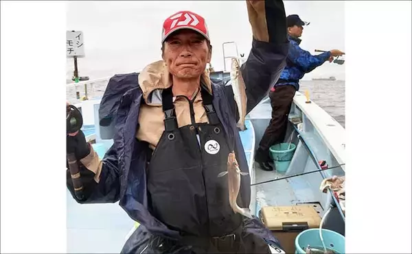 「東京湾の船シロギス釣りで20cm超え極太サイズが続々【進丸】大型狙いのチャンス！」の画像