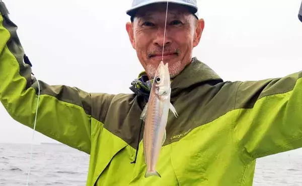 「東京湾の船シロギス釣りで20cm超え極太サイズが続々【進丸】大型狙いのチャンス！」の画像