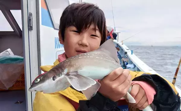 「東京湾の船シロギス釣りで20cm超え極太サイズが続々【進丸】大型狙いのチャンス！」の画像