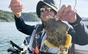 夏カワハギで良型続々！尺超え含み25～28cmがメイン【船釣り釣果速報選・大分／熊本】