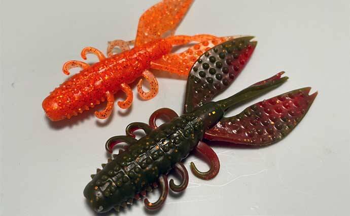 ボートでのルアーマゴチ釣り入門 代表的ワームと選び方を解説 22年4月16日 エキサイトニュース 2 2 ボートでのルアーマゴチ釣り入門 代表的ワームと選び方を解説 22年4月16日 エキサイトニュース 2 2