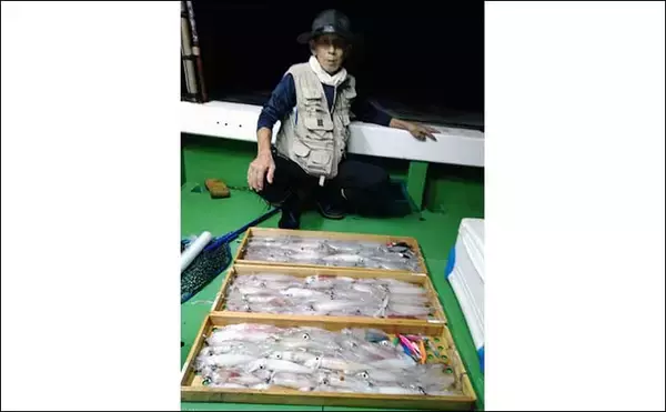 「【夜焚きイカ釣果速報】良型ブドウイカ交じりに釣る人100尾超え（福岡）」の画像