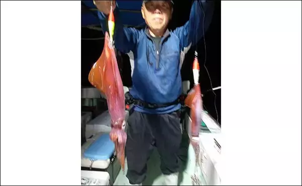 「【夜焚きイカ釣果速報】良型ブドウイカ交じりに釣る人100尾超え（福岡）」の画像