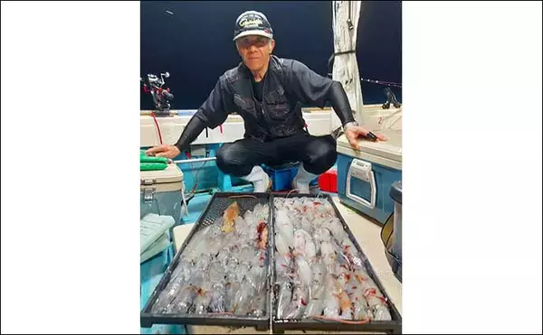 「【夜焚きイカ釣果速報】良型ブドウイカ交じりに釣る人100尾超え（福岡）」の画像