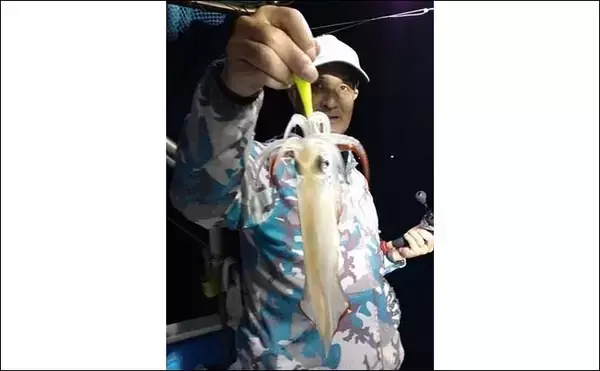 「【夜焚きイカ釣果速報】良型ブドウイカ交じりに釣る人100尾超え（福岡）」の画像