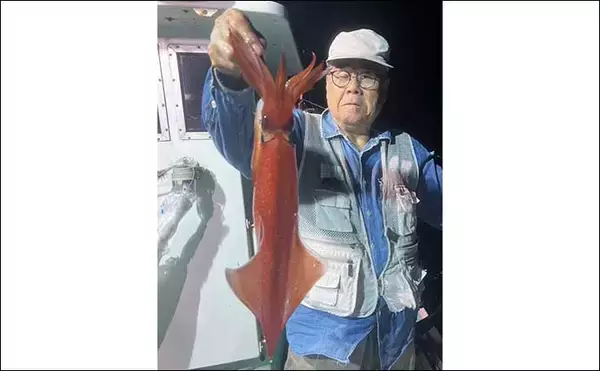 「【夜焚きイカ釣果速報】良型ブドウイカ交じりに釣る人100尾超え（福岡）」の画像