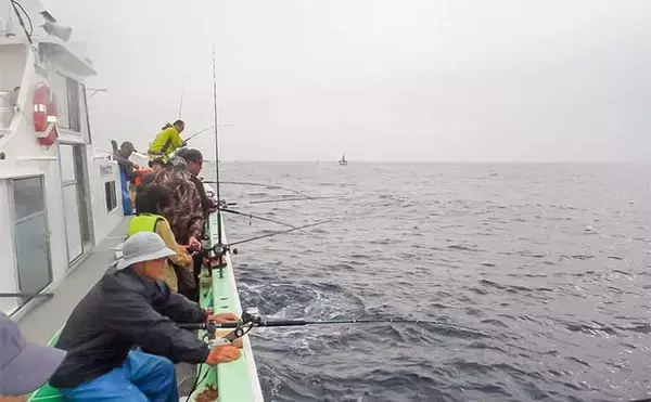 「大山沖の乗合船でイサキ8匹＆良型アジを手中【愛知・七福丸】釣果の決め手は細仕掛け？」の画像
