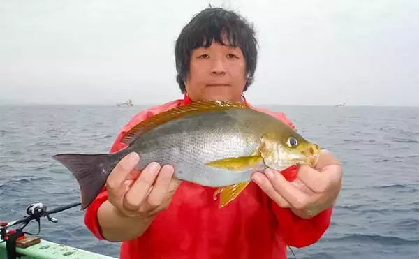 「大山沖の乗合船でイサキ8匹＆良型アジを手中【愛知・七福丸】釣果の決め手は細仕掛け？」の画像
