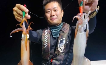 【沖釣り釣果速報】大分沖の夜焚きイカ船でケンサキイカ100尾超えの釣り人続出！（大分・熊本）