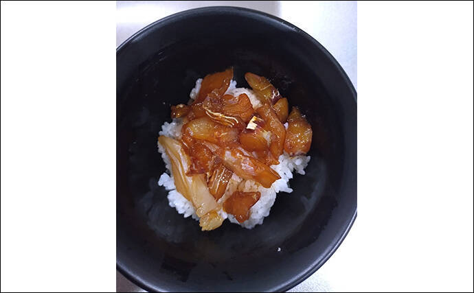 育児の隙間時間でエギングしたら想定外の大物がヒット！  52cm良型マダイが浮上