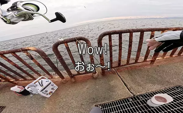 「関西サビキ釣り釣果速報：夕マヅメの『大阪南港魚つり園』で豆アジ入れ食いで47匹手中」の画像