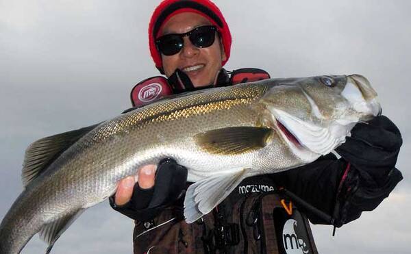 磯シーバスゲームで70cm頭に良型3匹 サラシ狙いでは青物バラシも 22年1月11日 エキサイトニュース