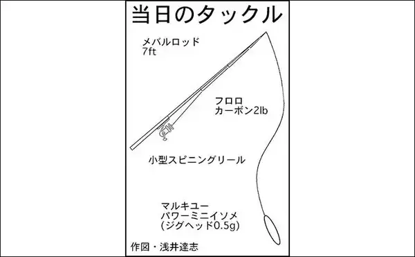 「アジング＆夜アナゴ釣行で両本命キャッチ【三重・四日市港】アジはシーズン終盤か」の画像
