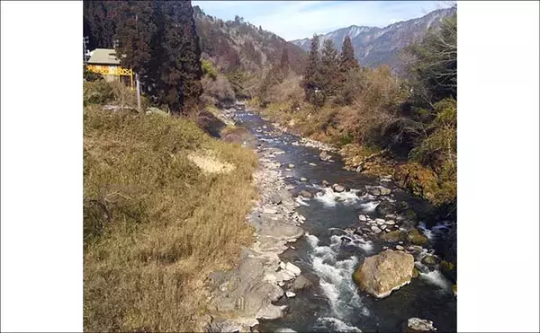 「渓流釣りおすすめ河川紹介：吉田川【岐阜】型・数ともに期待できる郡上の実力河川」の画像