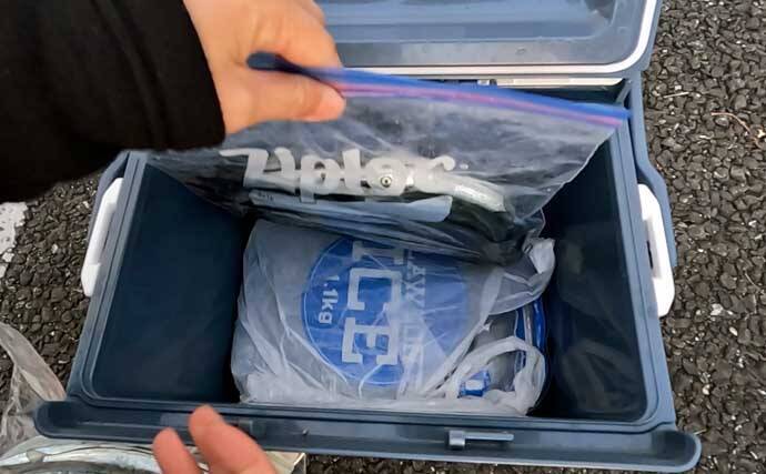 「初心者でも簡単！」　釣った魚を美味しく食べるための持ち帰り方