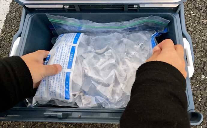 「初心者でも簡単！」　釣った魚を美味しく食べるための持ち帰り方