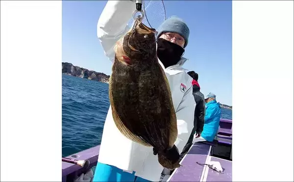 「船泳がせ釣りで4kg超大型ヒラメが次々浮上！【千葉・大原】イワシ接岸でチャンス拡大中」の画像