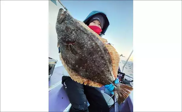 「船泳がせ釣りで4kg超大型ヒラメが次々浮上！【千葉・大原】イワシ接岸でチャンス拡大中」の画像