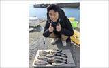 「伝馬船の「カセ釣り」でイサキ2桁釣果【和歌山】釣った魚の握り寿司に舌鼓」の画像4
